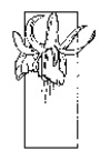 74341168