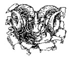 75018624