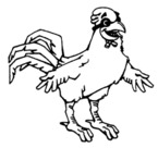 75255685