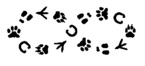 76567303