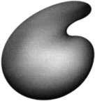 79045670