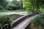 Dscf1862_600x400