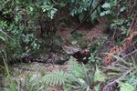 Dscf7035_600x400