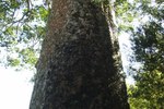 Dscf3139_400x600