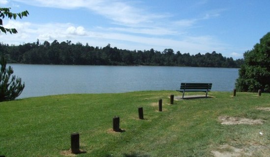 Dscf3918_600x400
