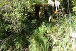 Dscf4589_600x400