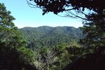 Dscf5075_600x400