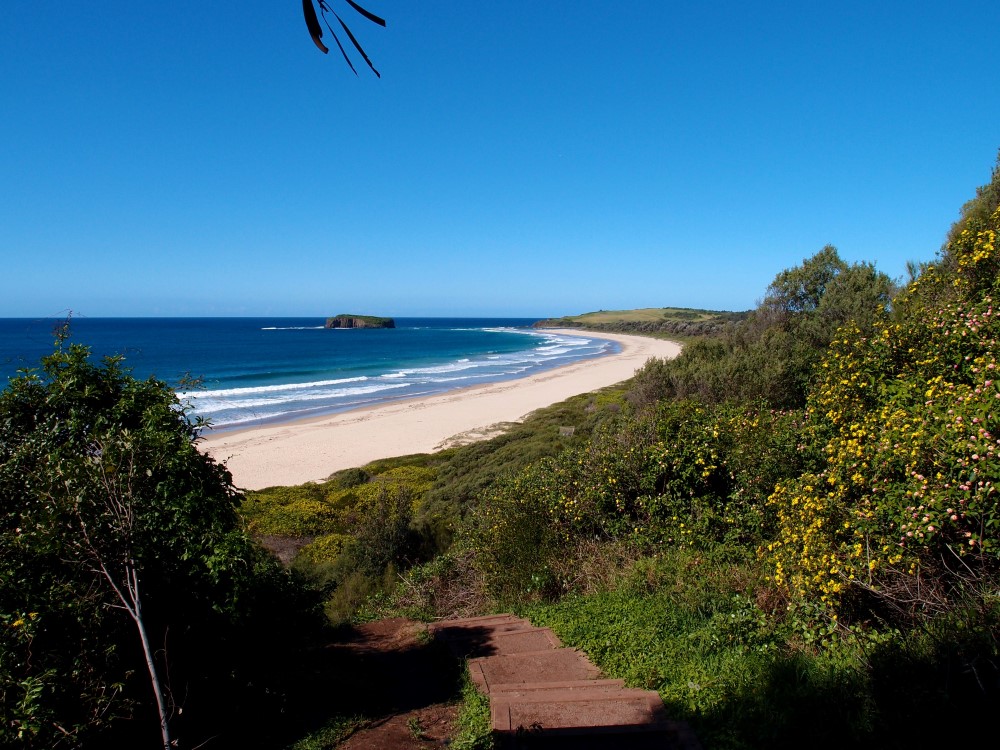 Mystics Beach Kiama Camping and Surfing Paradise Travel Croc