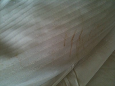 Dirty hotel sheets merit a complaint Get Compensated for Airline and Hotel Complaints