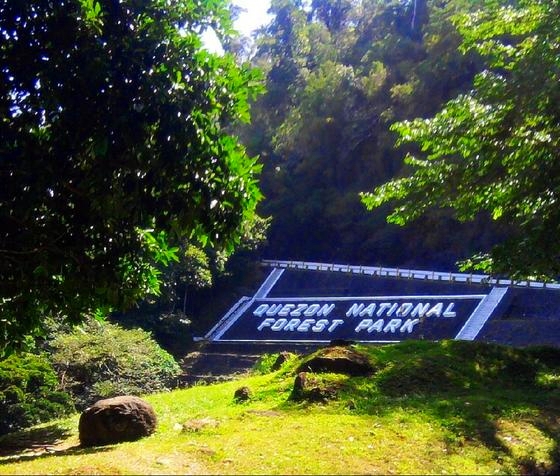 Quezon National Forest Park, Philippines Quezon National Forest Park, Philippines