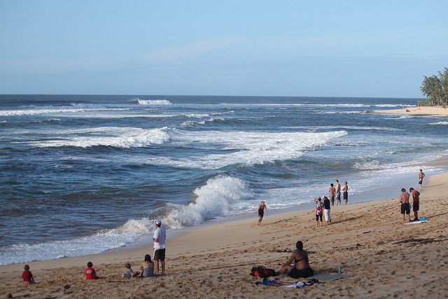 The North Shore The North Shore