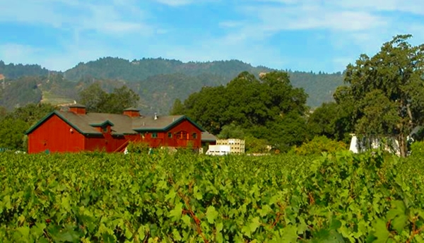 Salvestrin Winery, St. Helena, Napa Salvestrin Winery, St. Helena, Napa
