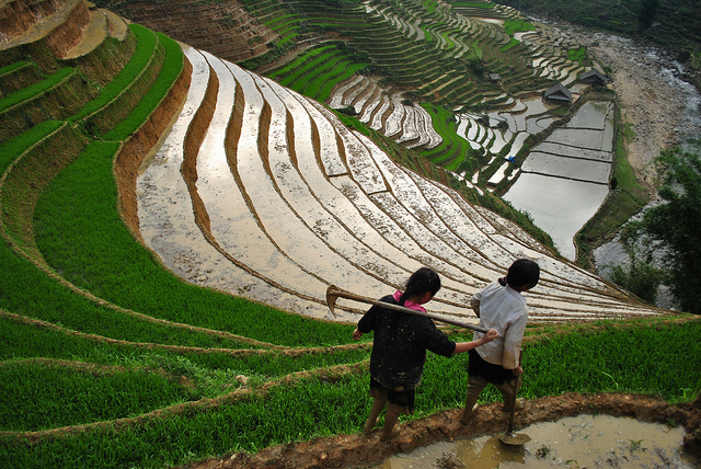 Don't forget to take the night train to Sapa Don't forget to take the night train to Sapa