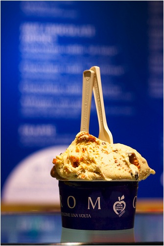 Grom's Famous Gelato Grom's Famous Gelato