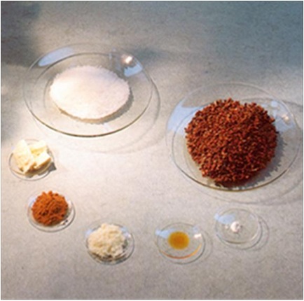 Teaching Ingredients at the Chocolate Museum Teaching Ingredients at the Chocolate Museum