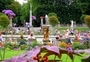 Square_jardin%20du%20luxembourg-harshlight