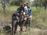 Jim Corbett