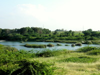 Gujarat