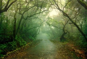 Panchgani