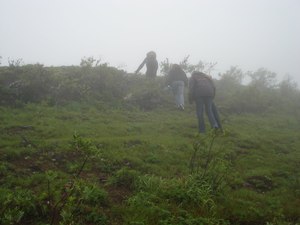 Kemmanagundi