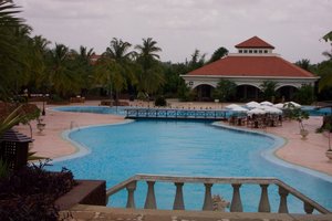 Golden palms