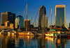 Jacksonville_magbox