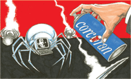 Jul_2006__corcoran_pic_midsize