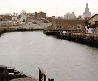 Gowanus175_copy_midsize
