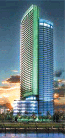 Miami_blue_midsize
