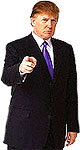 Standing_donald_magbox