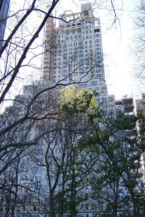 15cpw_midsize