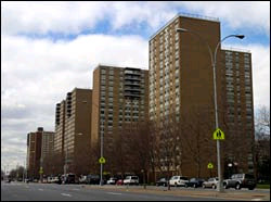 Starrettcity_midsize