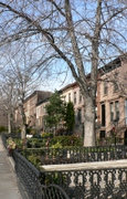 Carrollgardens_frontbox