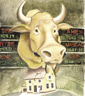 Bull_midsize