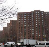 Stuy_town_frontbox