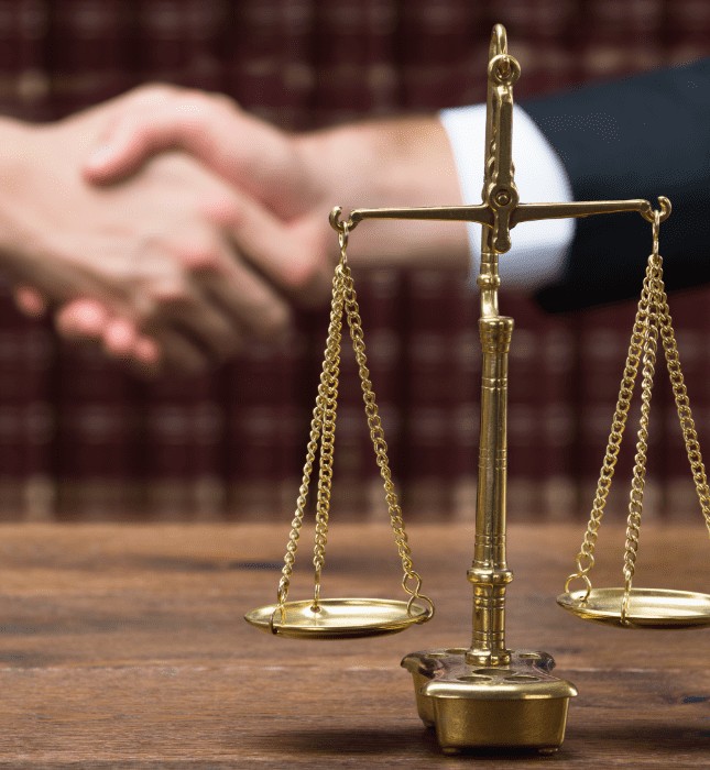 WHAT IS THE ROLE OF LAWYERS IN A TRIAL