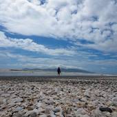 Find Travel mates for trips in New Zealand Evgeny