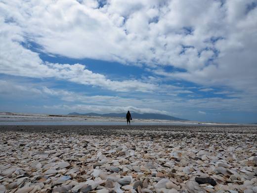 Evgeny travel partner in NewZealand