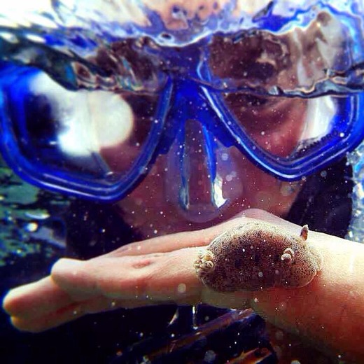 Claudia Lorena Hurtado travel partner in NewZealand