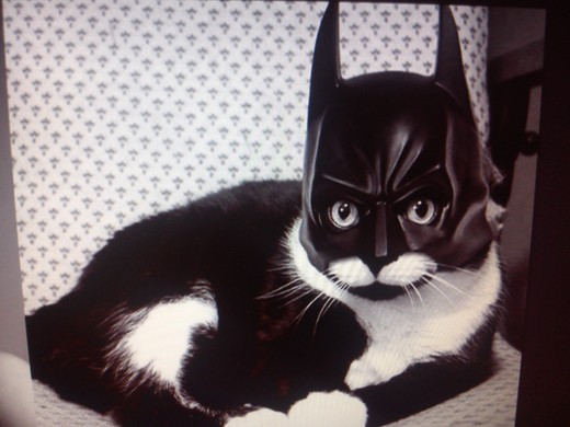 Serena66  travel partner in NewZealand