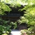 activity photo