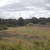 activity photo