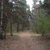 activity photo