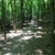 activity photo