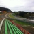 activity photo