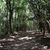activity photo