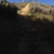 activity photo