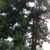 activity photo