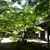 activity photo