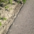 activity photo
